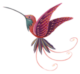 colibri-160